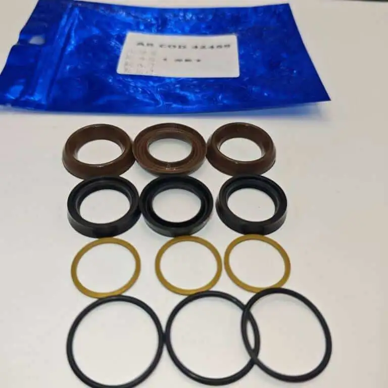 AR42469 RC1117 1317 1416 0825 Annovi Reverberi Water Seal Kit Ultra High Pressure Washer Pump Seals